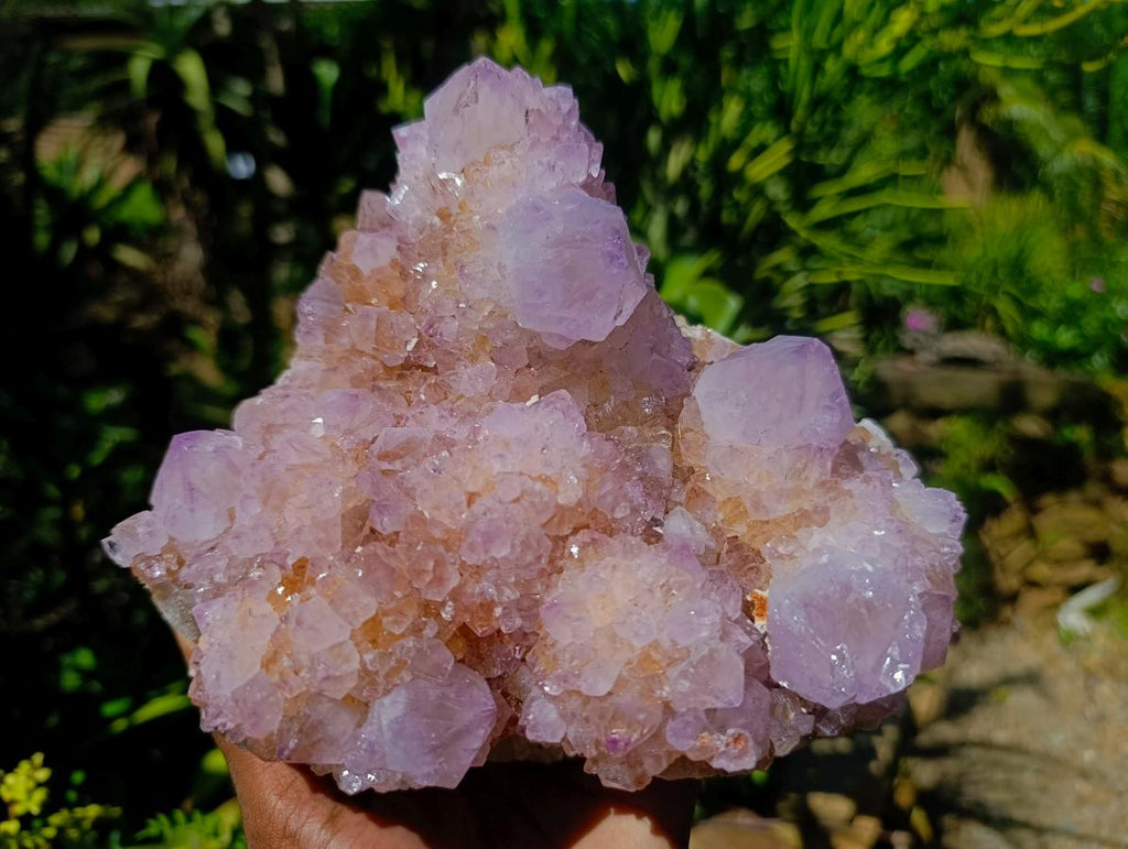 Natural Large Cactus Flower Amethyst Spirit Quartz Cluster x 1 From South Africa - Toprock Gemstones and Minerals 