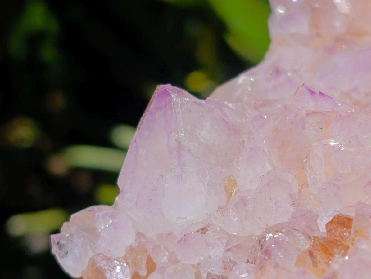 Natural Large Cactus Flower Amethyst Spirit Quartz Cluster x 1 From South Africa - Toprock Gemstones and Minerals 