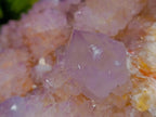 Natural Large Cactus Flower Amethyst Spirit Quartz Cluster x 1 From South Africa - Toprock Gemstones and Minerals 