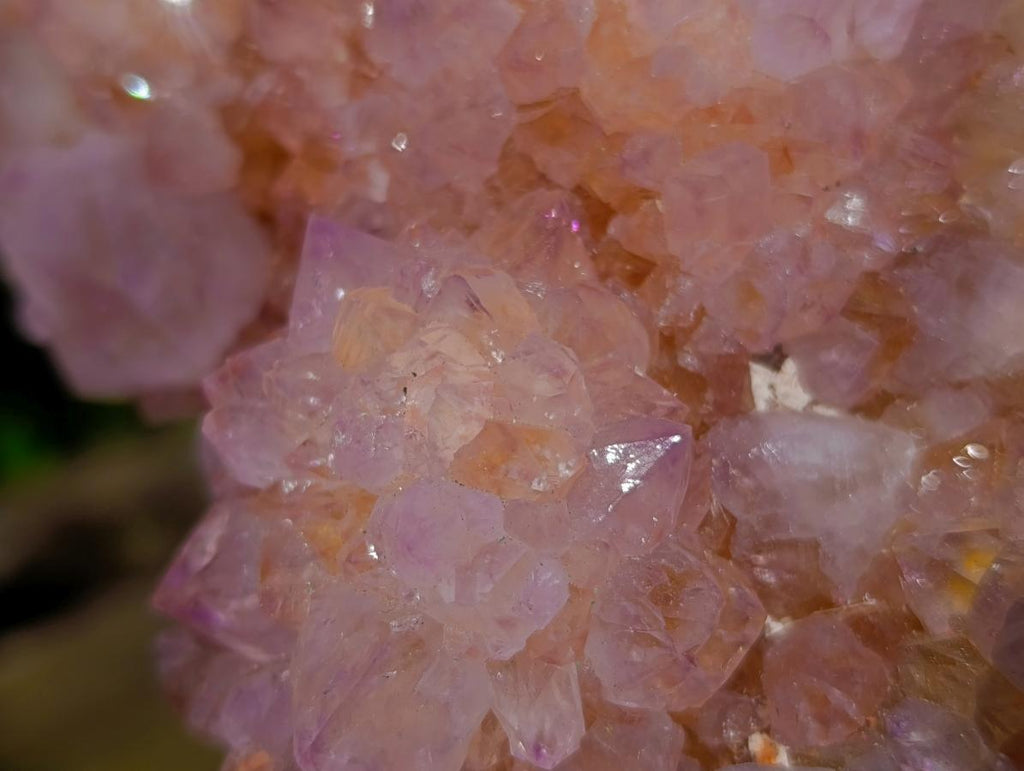 Natural Large Cactus Flower Amethyst Spirit Quartz Cluster x 1 From South Africa - Toprock Gemstones and Minerals 