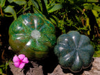 Hand Made Verdite Pumpkins Carvings x 2 From Zimbabwe - Toprock Gemstones and Minerals 