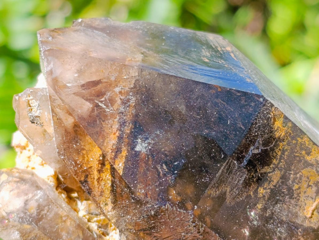 Natural Smokey Quartz Crystals x 3 From Zomba Plateau, Malawi - Toprock Gemstones and Minerals 