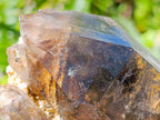 Natural Smokey Quartz Crystals x 3 From Zomba Plateau, Malawi - Toprock Gemstones and Minerals 