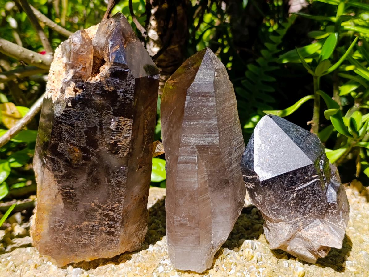 Natural Smokey Quartz Crystals x 3 From Zomba Plateau, Malawi - Toprock Gemstones and Minerals 