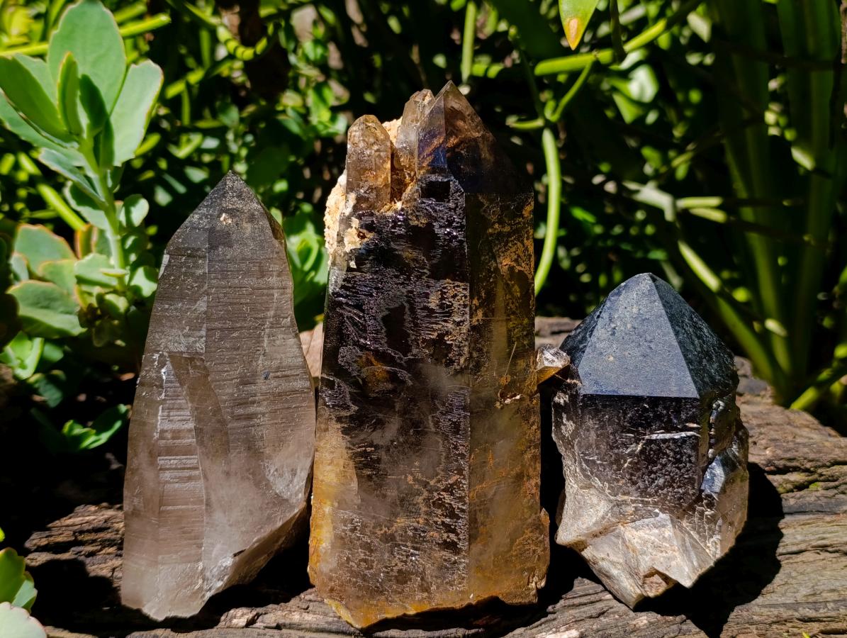 Natural Smokey Quartz Crystals x 3 From Zomba Plateau, Malawi - Toprock Gemstones and Minerals 