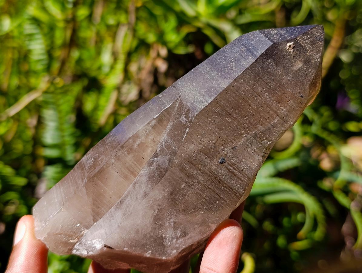 Natural Smokey Quartz Crystals x 3 From Zomba Plateau, Malawi - Toprock Gemstones and Minerals 