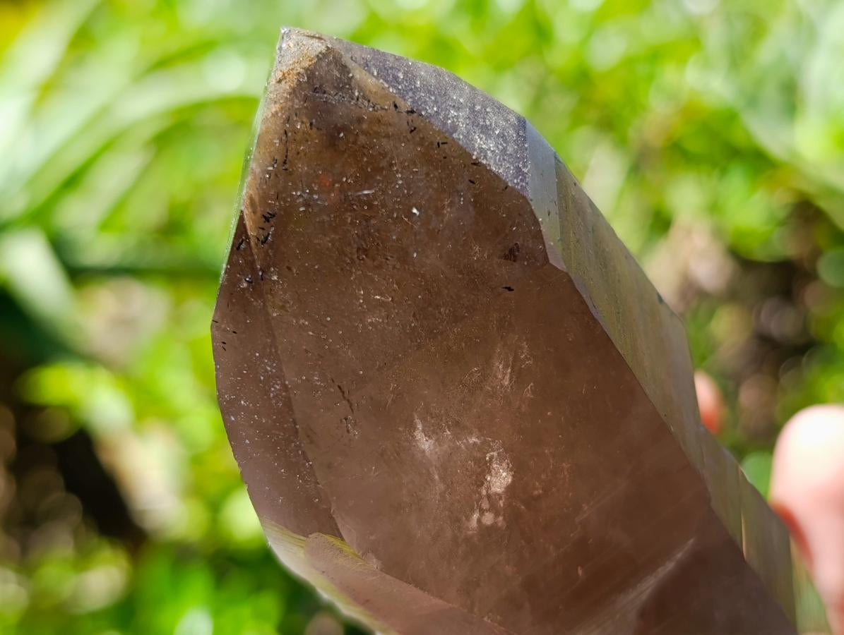 Natural Smokey Quartz Crystals x 3 From Zomba Plateau, Malawi - Toprock Gemstones and Minerals 