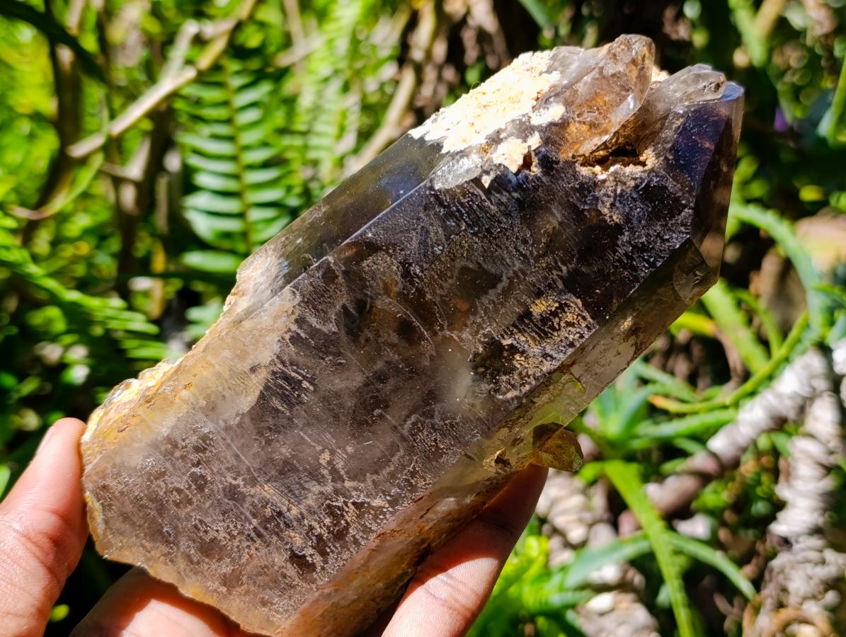 Natural Smokey Quartz Crystals x 3 From Zomba Plateau, Malawi - Toprock Gemstones and Minerals 
