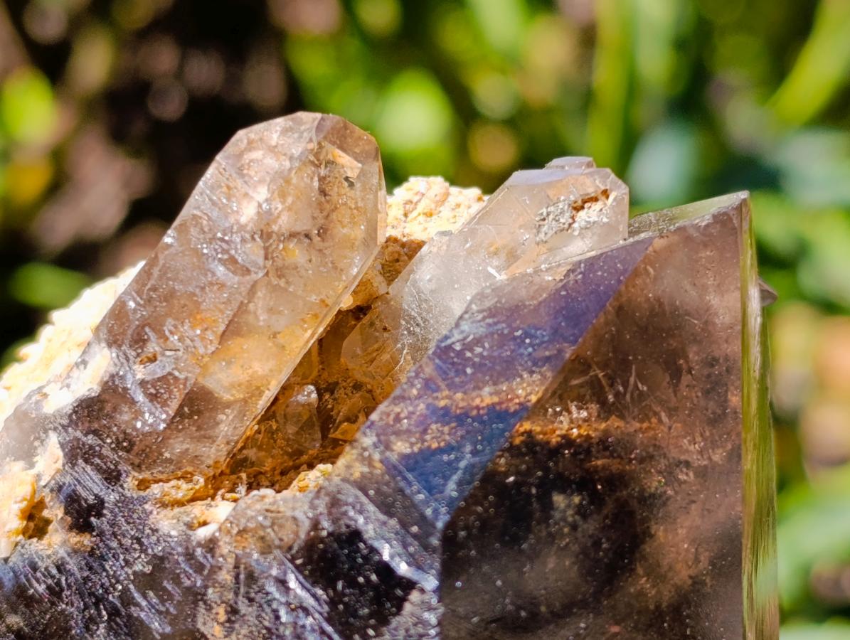 Natural Smokey Quartz Crystals x 3 From Zomba Plateau, Malawi - Toprock Gemstones and Minerals 