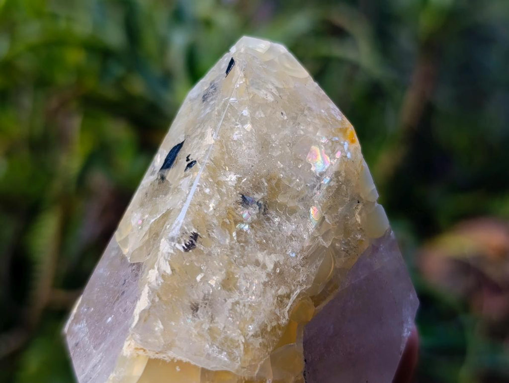 Polished Mixed Quartz Crystals x 6 From Madagascar - Toprock Gemstones and Minerals 