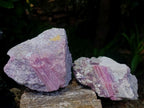 Natural Pink Rubellite Tourmaline Specimens x 2 From Karibib, Namibia - Toprock Gemstones and Minerals 