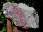 Natural Pink Rubellite Tourmaline Specimens x 2 From Karibib, Namibia - Toprock Gemstones and Minerals 
