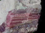 Natural Pink Rubellite Tourmaline Specimens x 2 From Karibib, Namibia - Toprock Gemstones and Minerals 