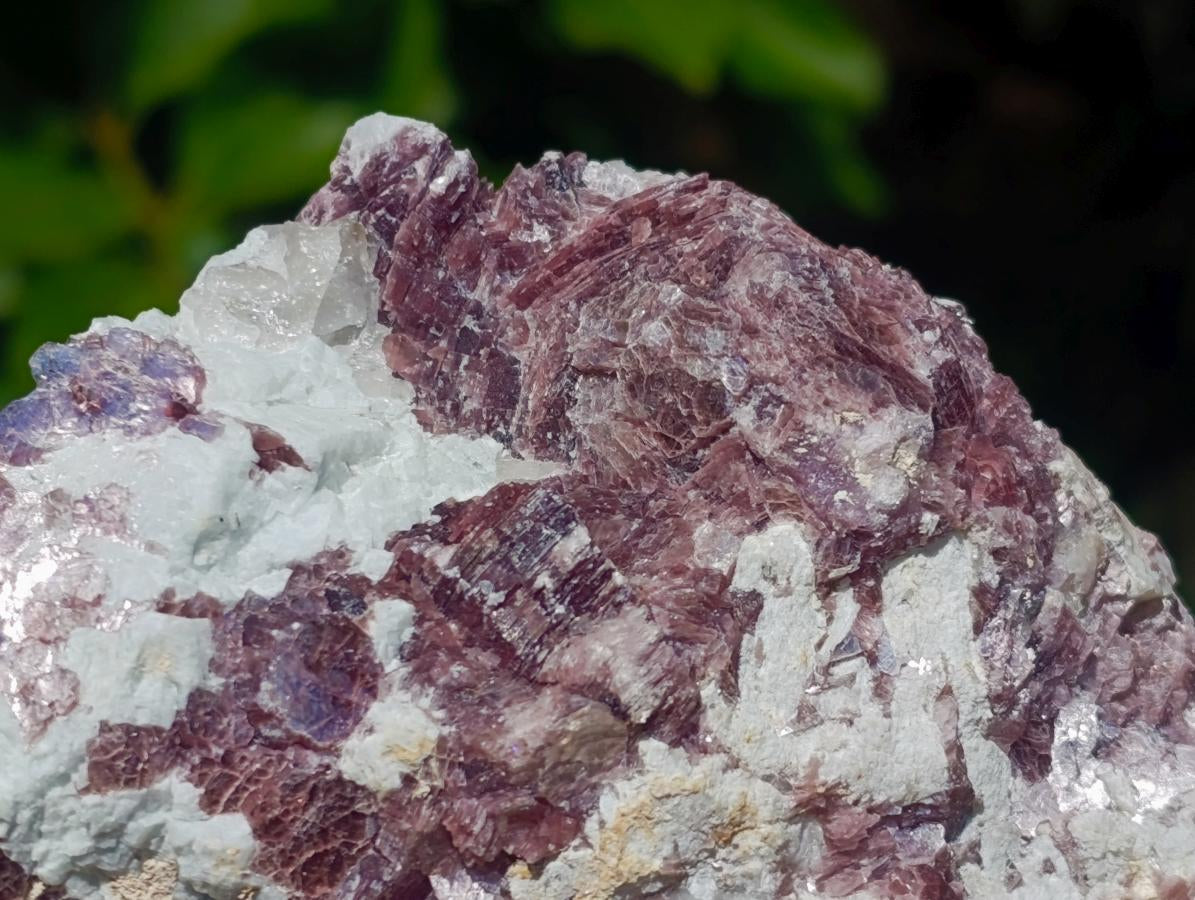 Natural Pink Rubellite Tourmaline Specimens x 2 From Karibib, Namibia - Toprock Gemstones and Minerals 