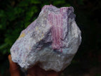 Natural Pink Rubellite Tourmaline Specimens x 2 From Karibib, Namibia - Toprock Gemstones and Minerals 