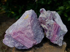 Natural Pink Rubellite Tourmaline Specimens x 2 From Karibib, Namibia - Toprock Gemstones and Minerals 