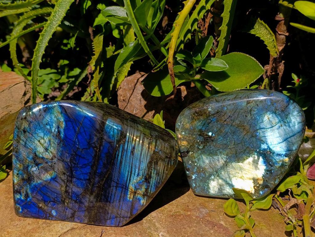 Polished Labradorite Standing Free Forms x 2 From Madagascar - Toprock Gemstones and Minerals 