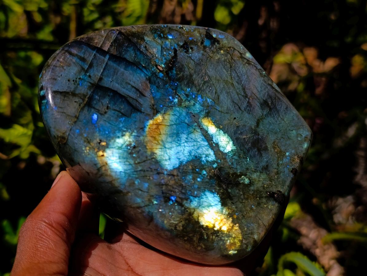 Polished Labradorite Standing Free Forms x 2 From Madagascar - Toprock Gemstones and Minerals 