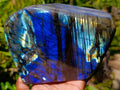 Polished Labradorite Standing Free Forms x 2 From Madagascar - Toprock Gemstones and Minerals 