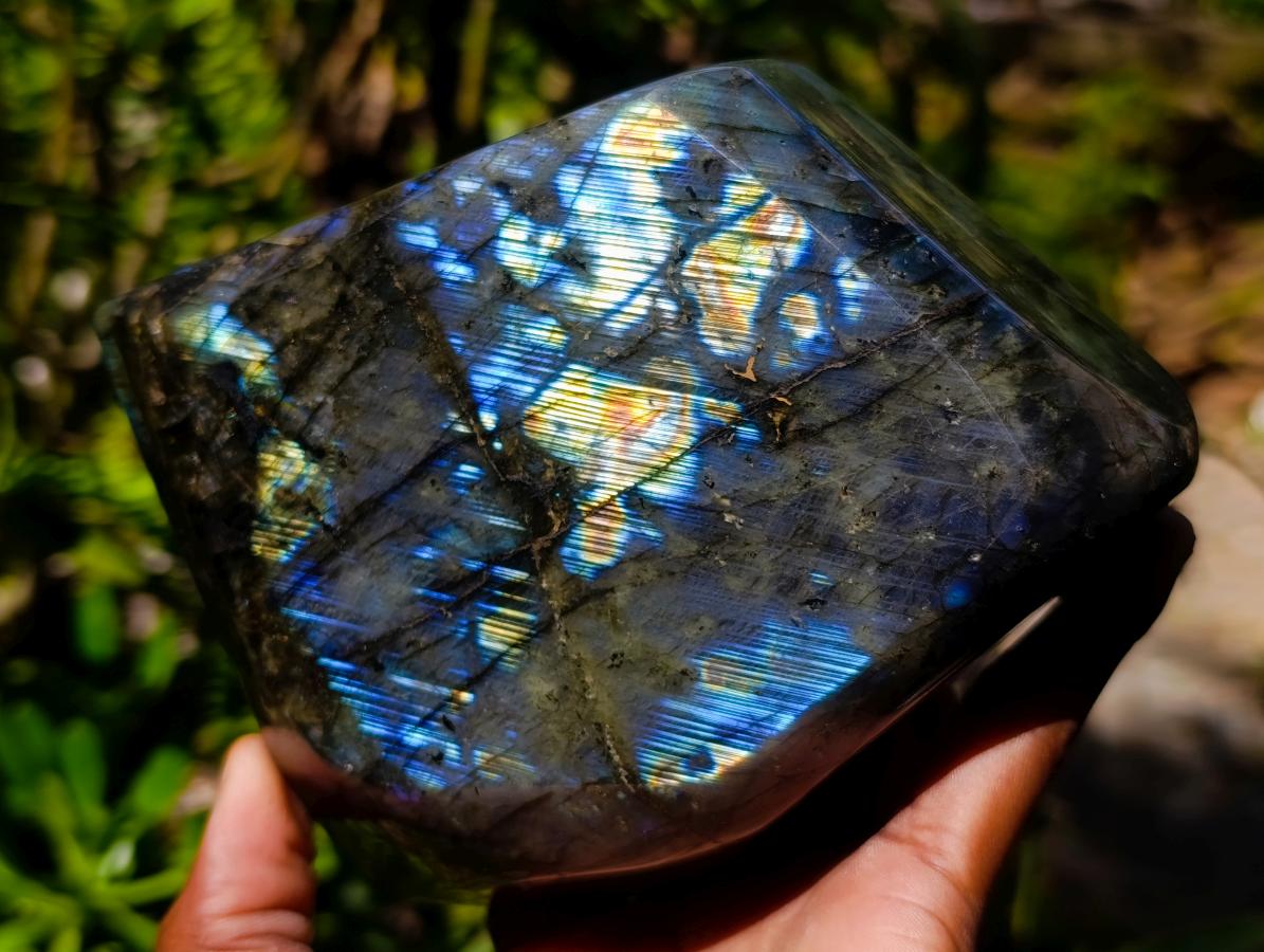 Polished Labradorite Standing Free Forms x 2 From Madagascar - Toprock Gemstones and Minerals 