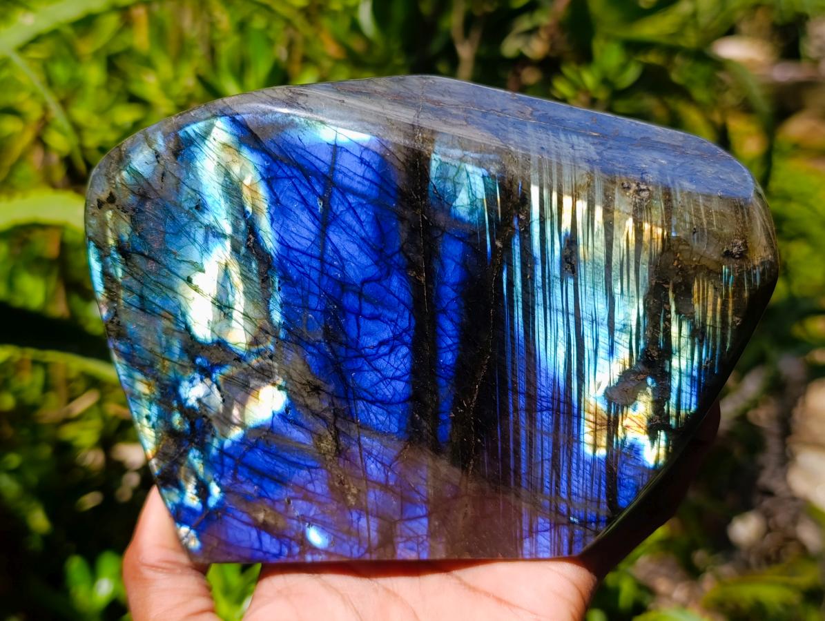 Polished Labradorite Standing Free Forms x 2 From Madagascar - Toprock Gemstones and Minerals 