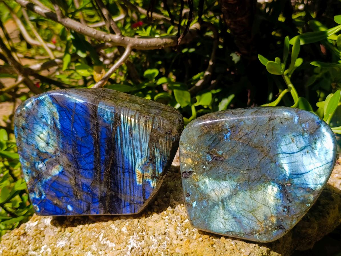 Polished Labradorite Standing Free Forms x 2 From Madagascar - Toprock Gemstones and Minerals 