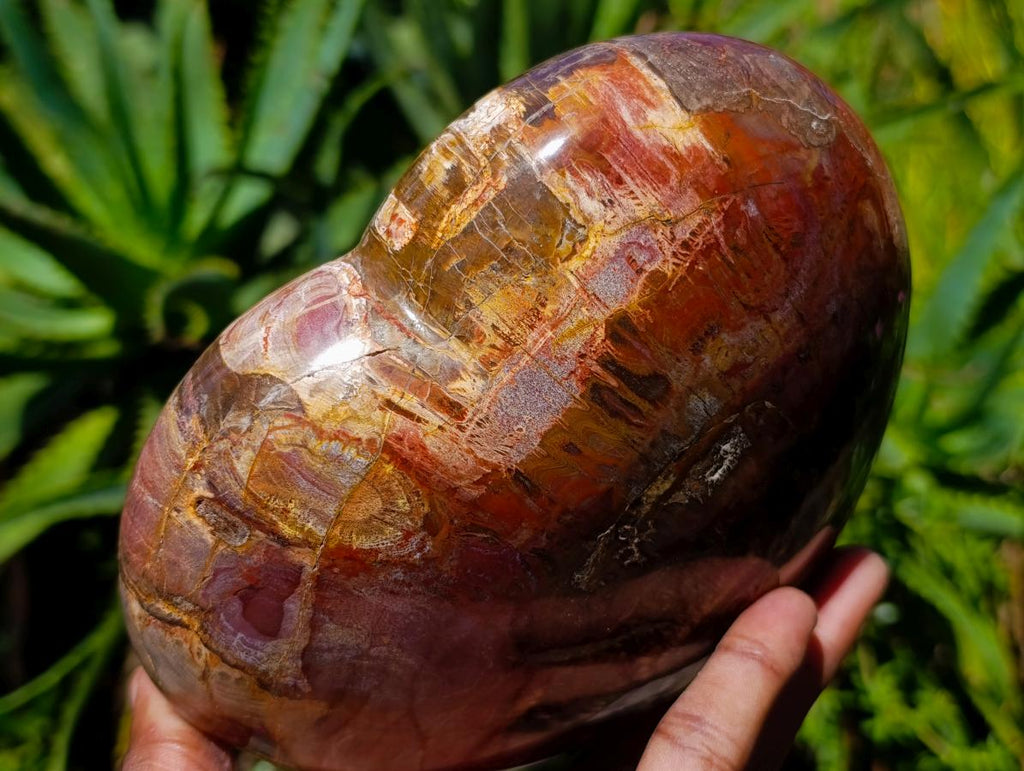 Polished Large Red Podocarpus Petrified Wood Heart x 1 From Mahajanga, Madagascar - Toprock Gemstones and Minerals 