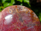 Polished Large Red Podocarpus Petrified Wood Heart x 1 From Mahajanga, Madagascar - Toprock Gemstones and Minerals 