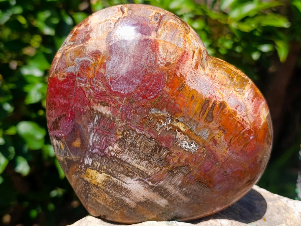 Polished Large Red Podocarpus Petrified Wood Heart x 1 From Mahajanga, Madagascar - Toprock Gemstones and Minerals 