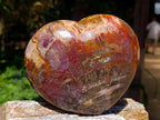Polished Large Red Podocarpus Petrified Wood Heart x 1 From Mahajanga, Madagascar - Toprock Gemstones and Minerals 
