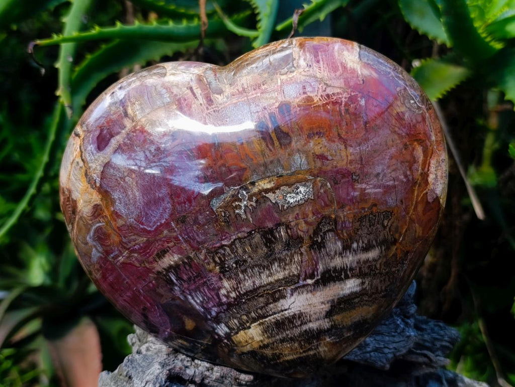 Polished Large Red Podocarpus Petrified Wood Heart x 1 From Mahajanga, Madagascar - Toprock Gemstones and Minerals 
