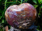 Polished Large Red Podocarpus Petrified Wood Heart x 1 From Mahajanga, Madagascar - Toprock Gemstones and Minerals 