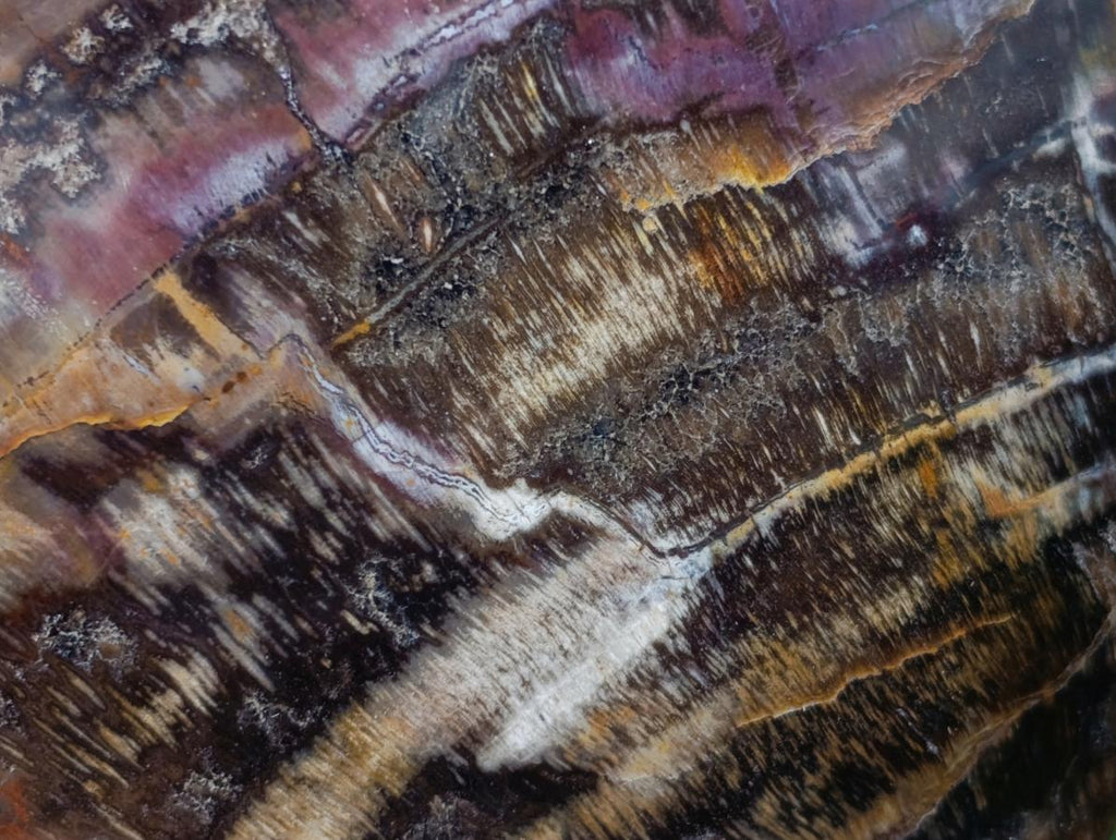 Polished Large Red Podocarpus Petrified Wood Heart x 1 From Mahajanga, Madagascar - Toprock Gemstones and Minerals 