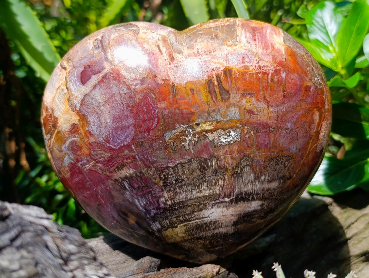 Polished Large Red Podocarpus Petrified Wood Heart x 1 From Mahajanga, Madagascar - Toprock Gemstones and Minerals 
