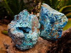 Natural Rough Shattuckite Specimens x 12 From Kaokoveld, Namibia - Toprock Gemstones and Minerals 