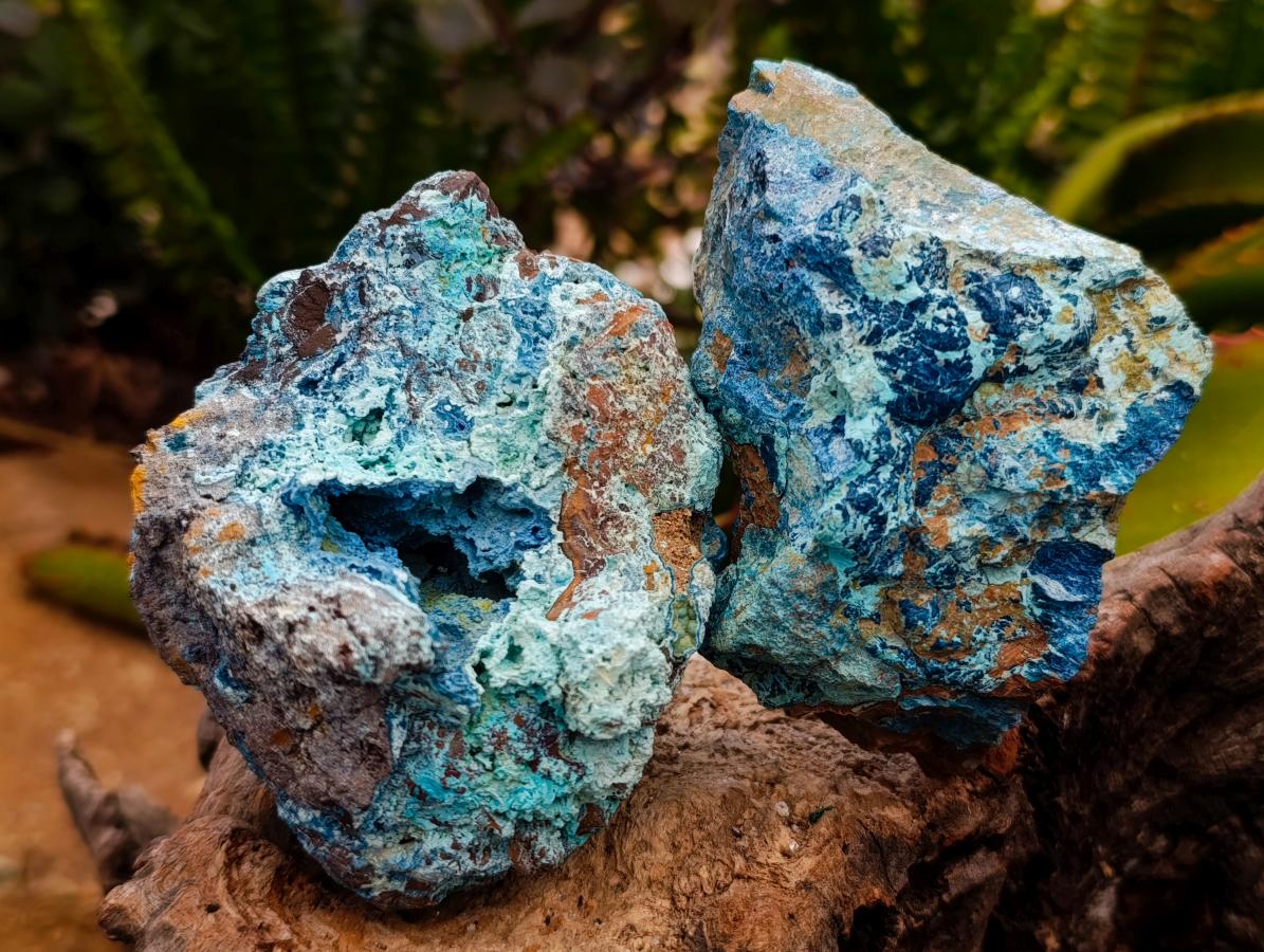Natural Rough Shattuckite Specimens x 12 From Kaokoveld, Namibia - Toprock Gemstones and Minerals 