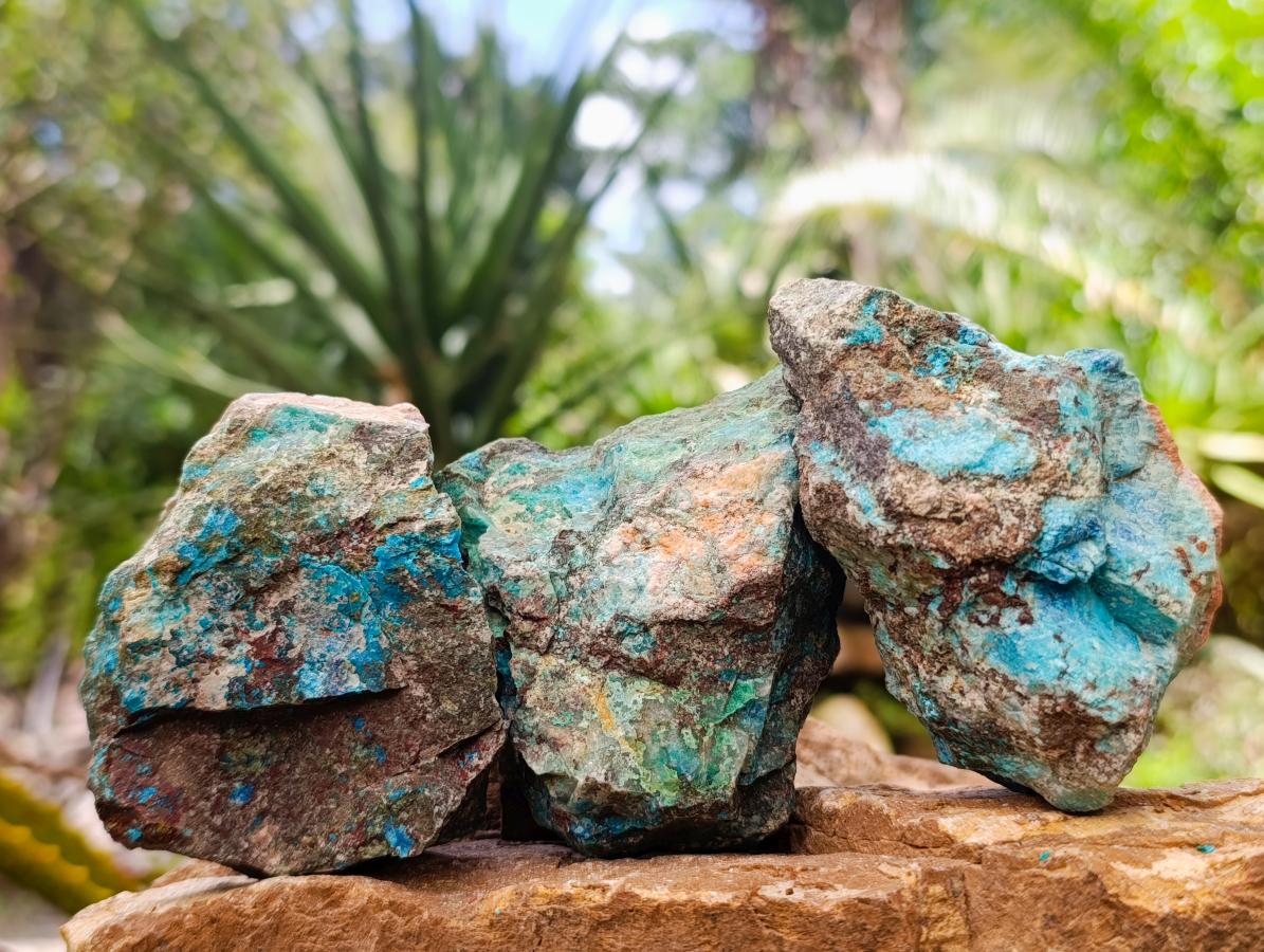 Natural Rough Shattuckite Specimens x 12 From Kaokoveld, Namibia - Toprock Gemstones and Minerals 