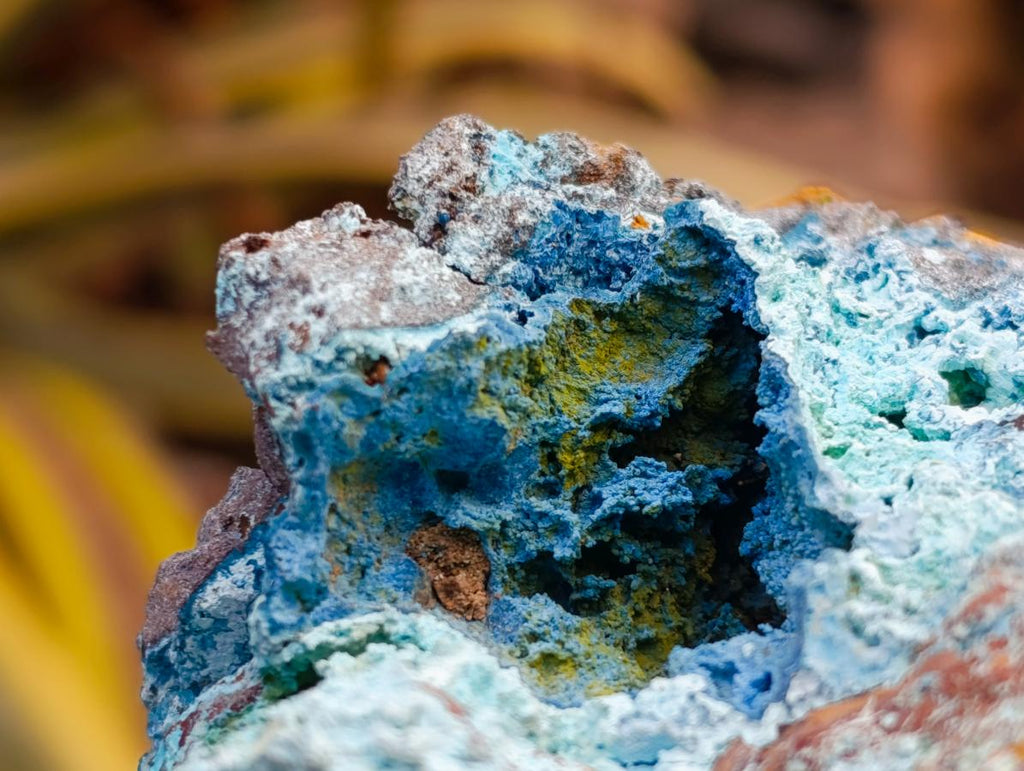 Natural Rough Shattuckite Specimens x 12 From Kaokoveld, Namibia - Toprock Gemstones and Minerals 