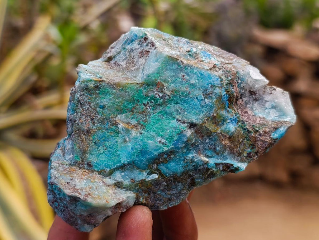 Natural Rough Shattuckite Specimens x 12 From Kaokoveld, Namibia - Toprock Gemstones and Minerals 