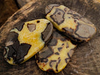 Polished Septerye Slices x 6 From Mahajanga, Madagascar - Toprock Gemstones and Minerals 
