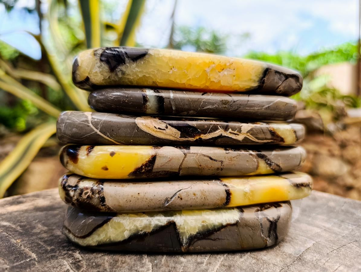 Polished Septerye Slices x 6 From Mahajanga, Madagascar - Toprock Gemstones and Minerals 