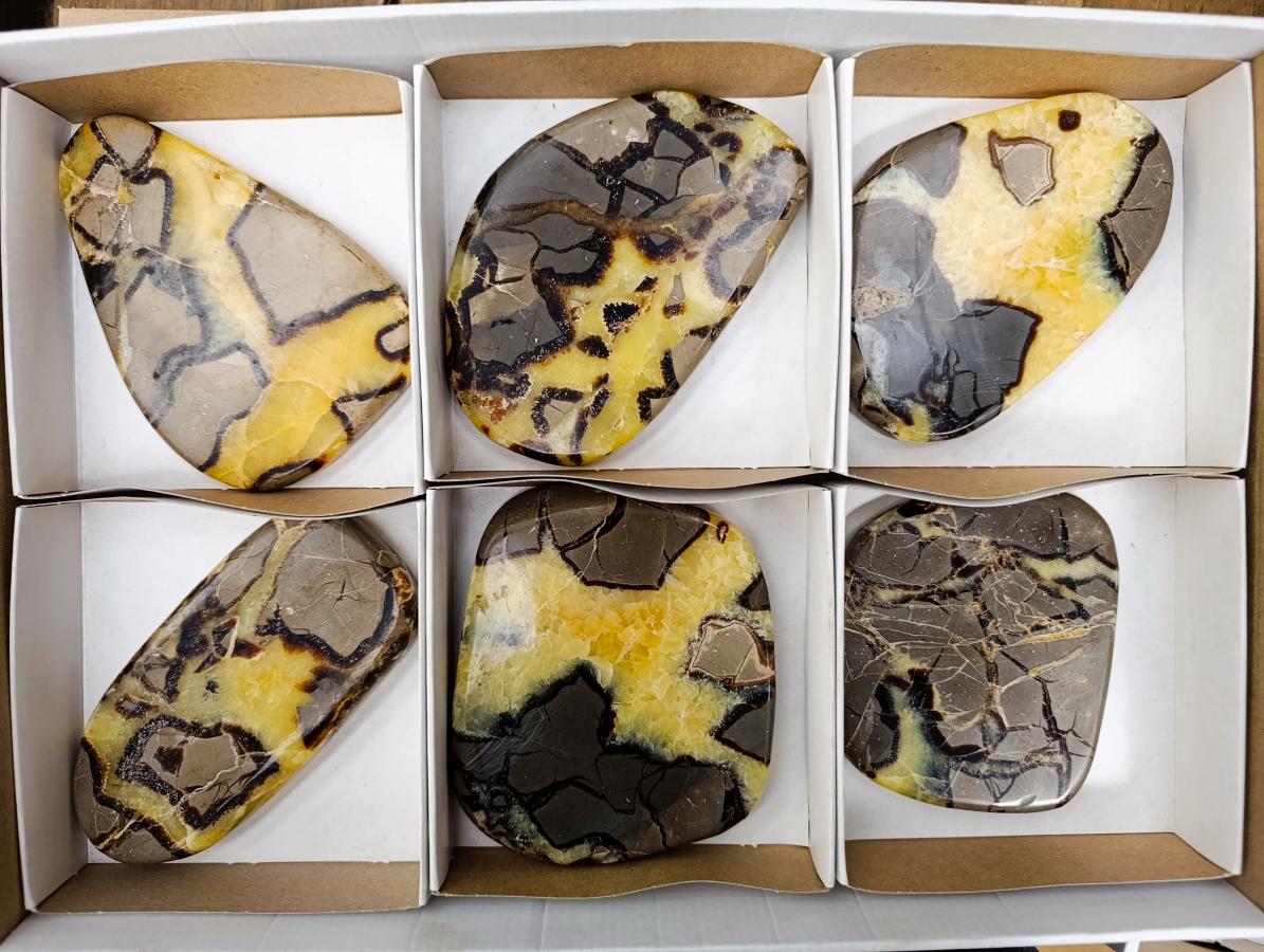 Polished Septerye Slices x 6 From Mahajanga, Madagascar - Toprock Gemstones and Minerals 