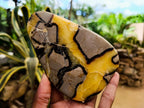 Polished Septerye Slices x 6 From Mahajanga, Madagascar - Toprock Gemstones and Minerals 