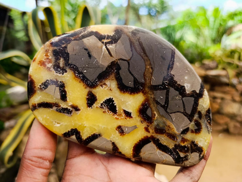 Polished Septerye Slices x 6 From Mahajanga, Madagascar - Toprock Gemstones and Minerals 