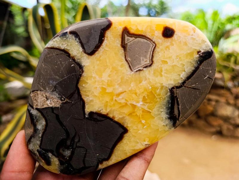 Polished Septerye Slices x 6 From Mahajanga, Madagascar - Toprock Gemstones and Minerals 