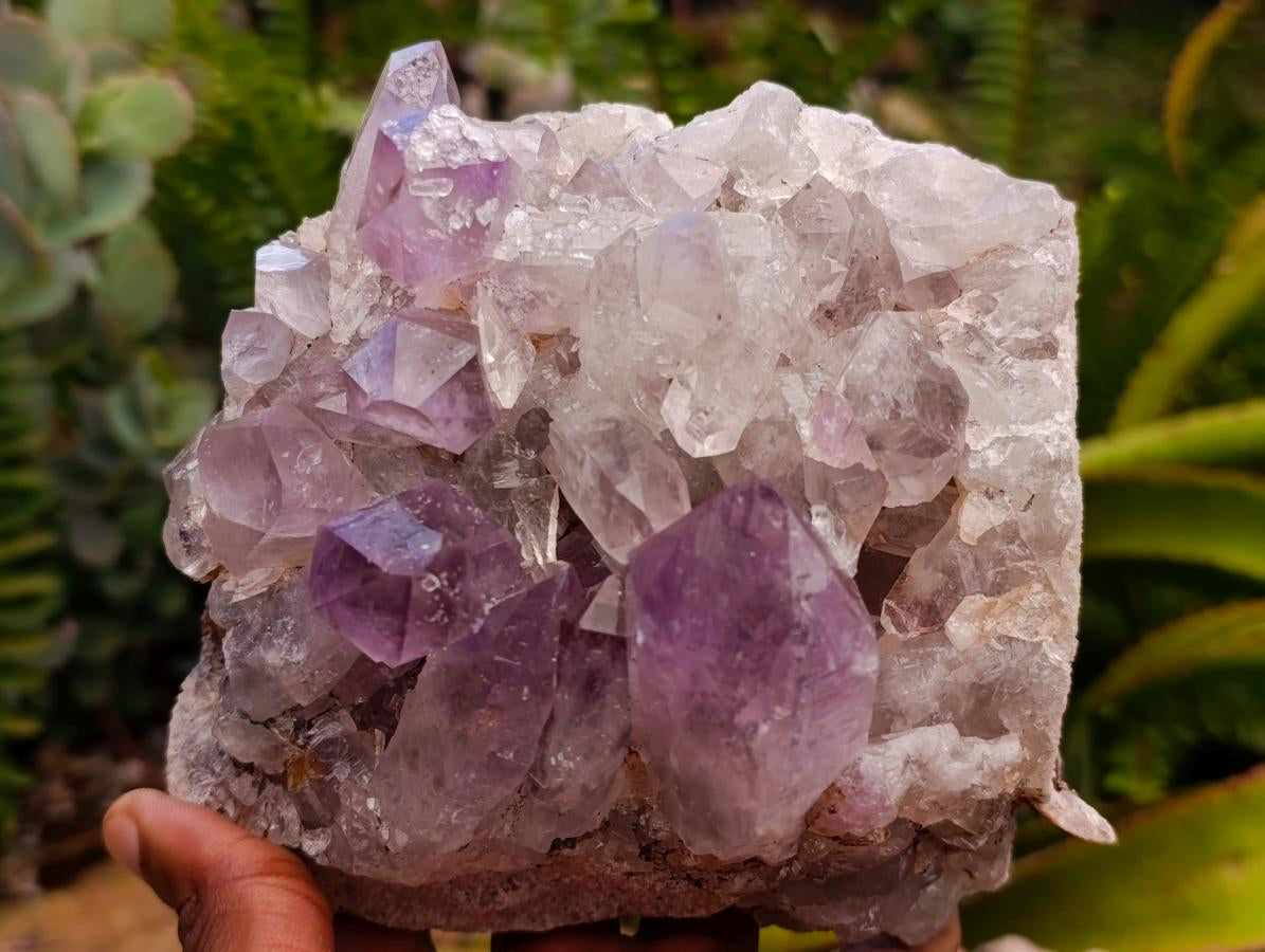 Natural Jacaranda Amethyst Crystal Clusters x 2 From Mumbwa, Zambia - Toprock Gemstones and Minerals 