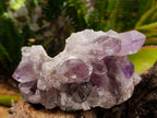 Natural Jacaranda Amethyst Crystal Clusters x 2 From Mumbwa, Zambia - Toprock Gemstones and Minerals 