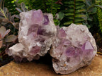 Natural Jacaranda Amethyst Crystal Clusters x 2 From Mumbwa, Zambia - Toprock Gemstones and Minerals 