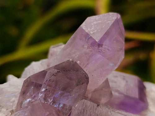 Natural Jacaranda Amethyst Crystal Clusters x 2 From Mumbwa, Zambia - Toprock Gemstones and Minerals 