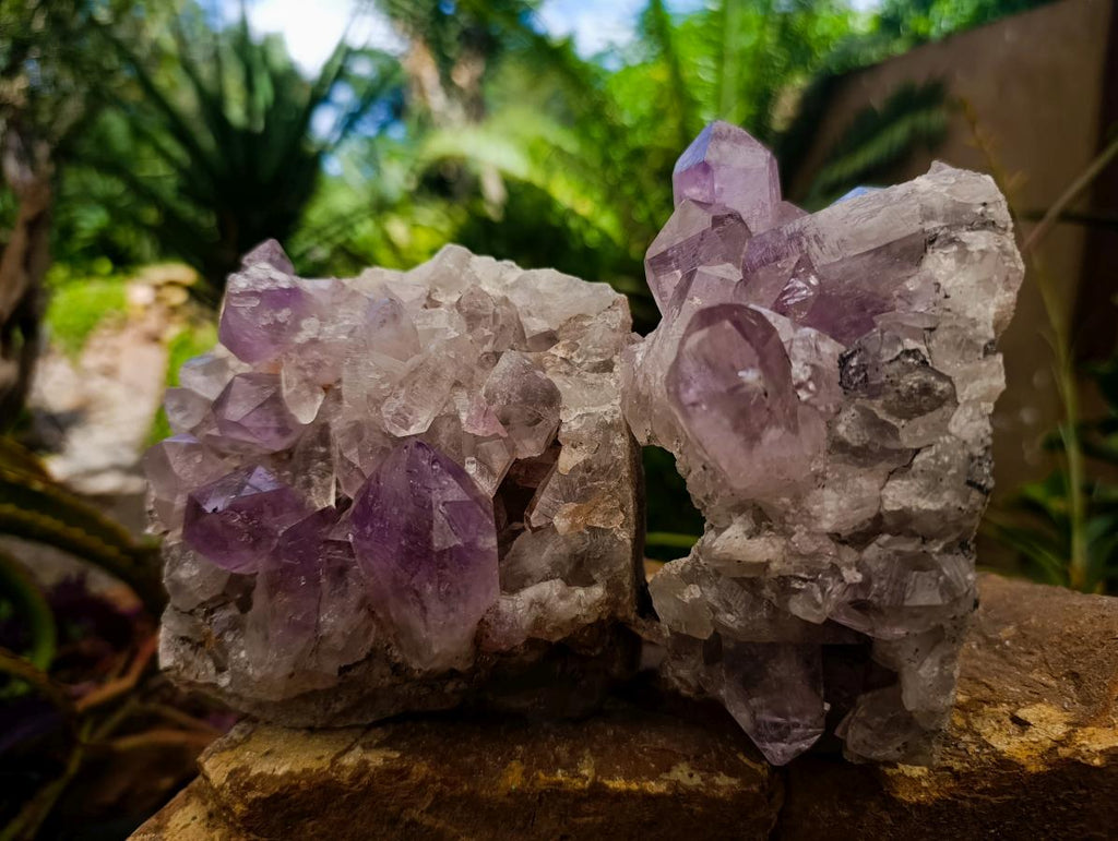 Natural Jacaranda Amethyst Crystal Clusters x 2 From Mumbwa, Zambia - Toprock Gemstones and Minerals 